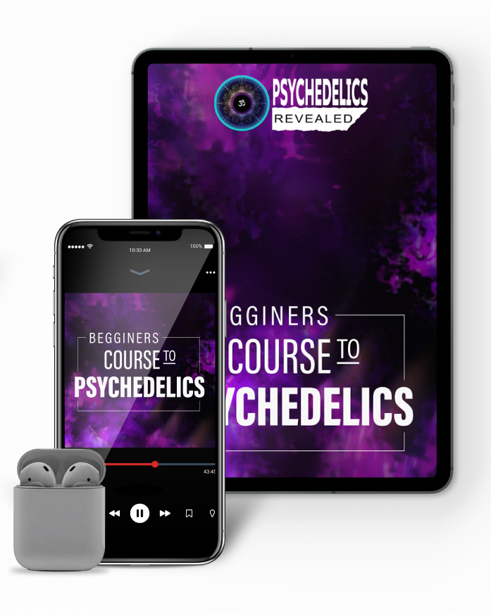 beginners course